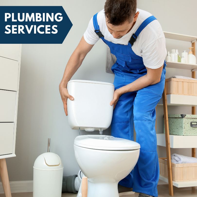 Plumbing Company in East Branch, NY